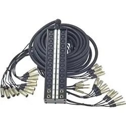 100-Foot XLR 24-Channel Snake Rental