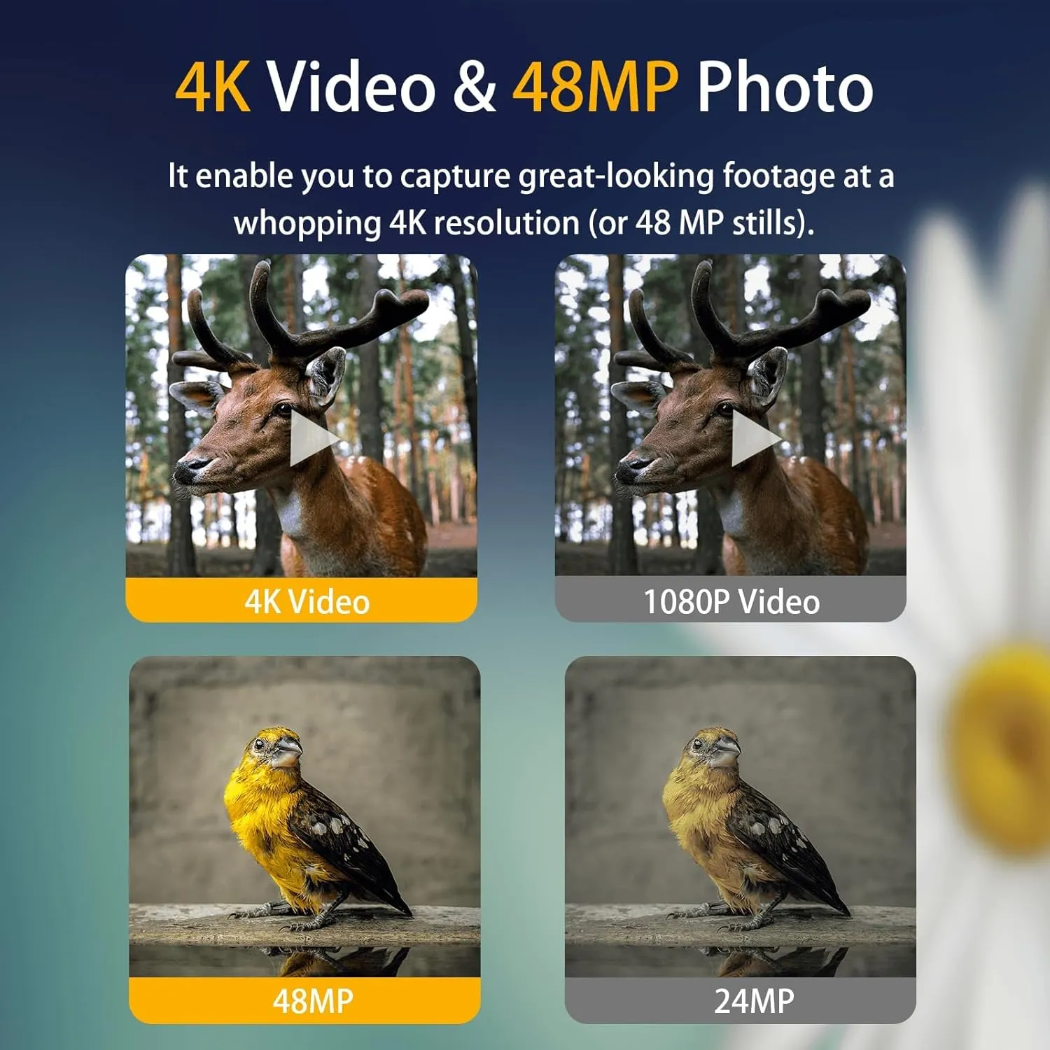 4K 48MP Trail Camera - Night Vision,Motion Activated,IP66 Waterproof,40 No-Glow Infrared LEDs,0.2s Trigger Speed,120° Wide-Angle for Wildlife Monitoring