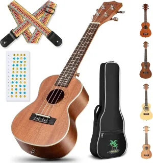 CAHAYA Concert Ukulele Kit Beginner Starter 23 Inch with Gig Bag, Rainbow Strap, Fretboard Stickers, for Adults Sapele, Model CY0070