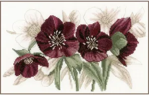 Counted Cross Stitch Kit Hellebores