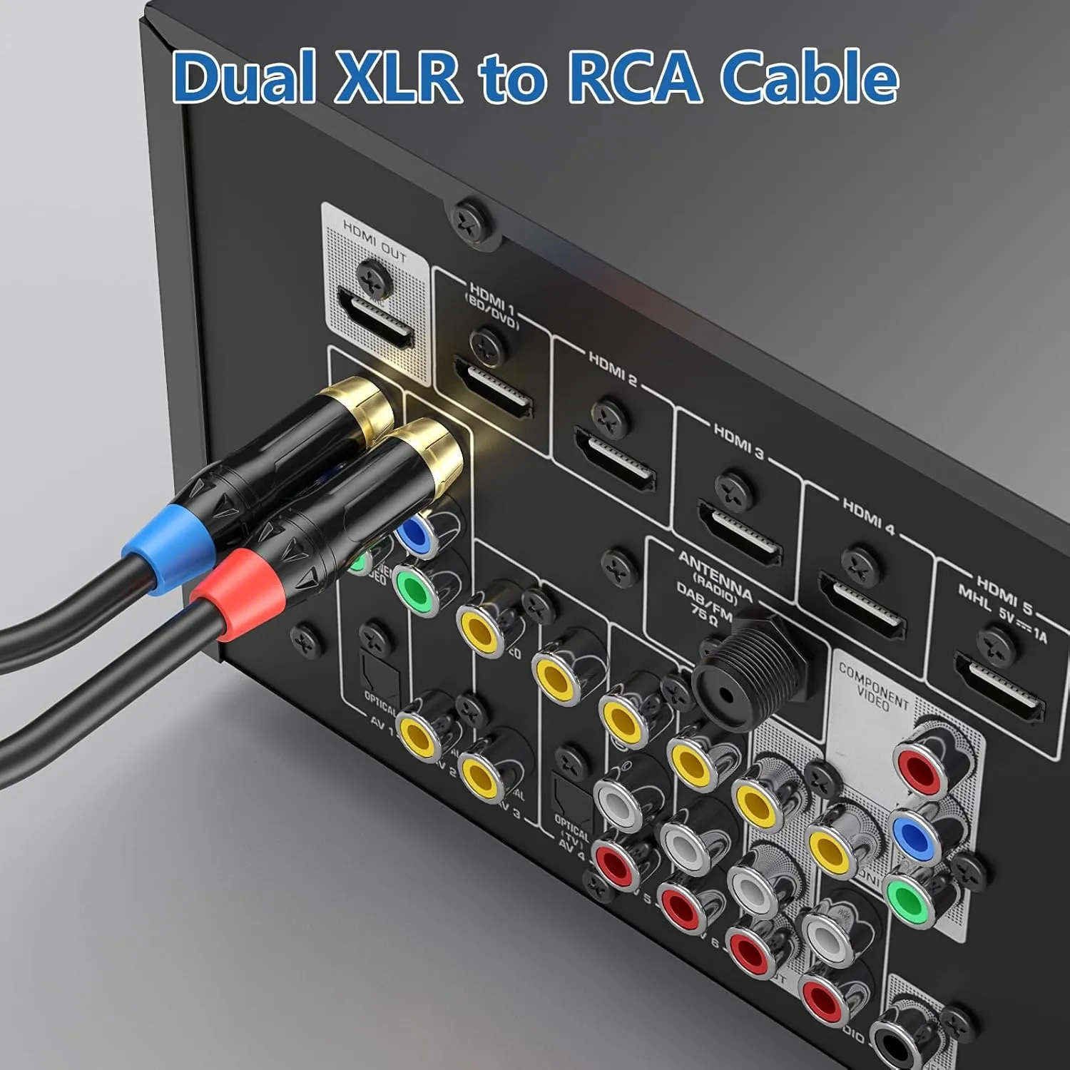 Dual RCA to Dual XLR HiFi Stereo Audio Connection Microphone Cable, 15 Feet
