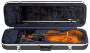 Eastman 80 Violin Outfit (with Thermo Case)