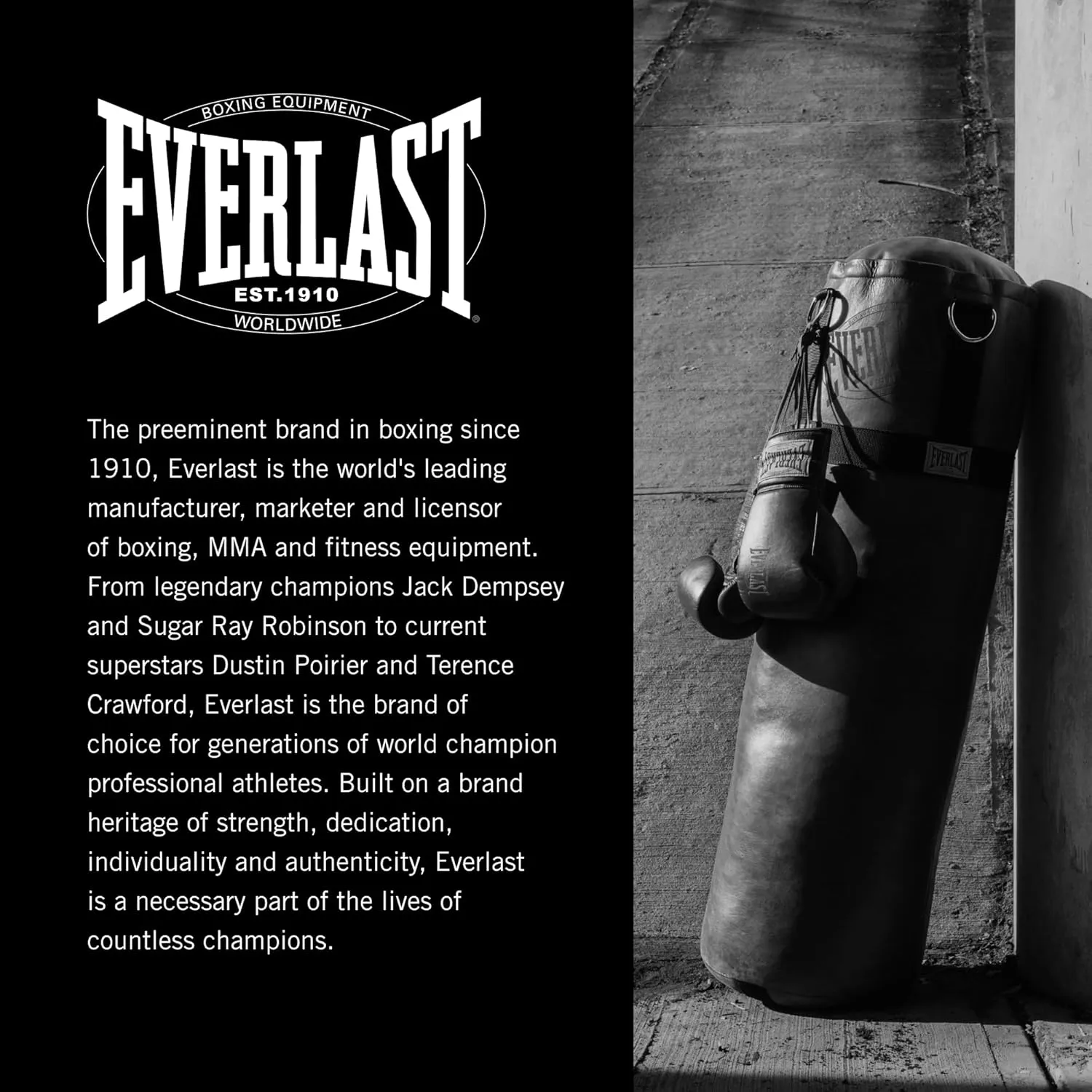 Everlast 1910 Boxing Gloves | Advanced Gloves for Men and Women | Hook and Loop with Triple-Layer Foam & Wrist Support for Injury Prevention | Heavy Bag & Speedbag Training