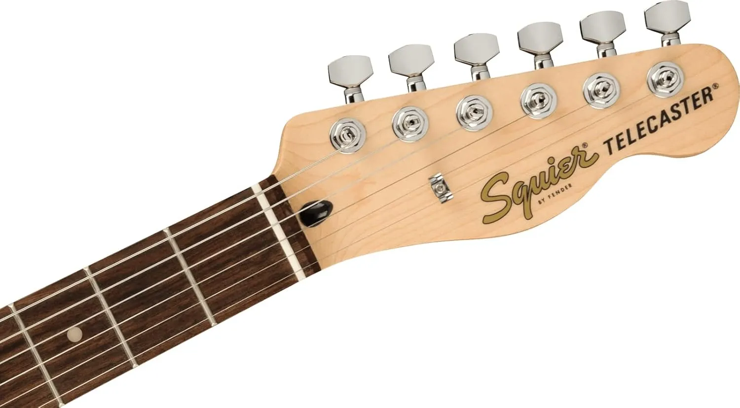 Fender Affinity Series Telecaster - Black Bundle with Frontman 10G Amplifier, Gig Bag, Tuner, Instrument Cable, Strap, Picks, and Austin Bazaar Instructional DVD