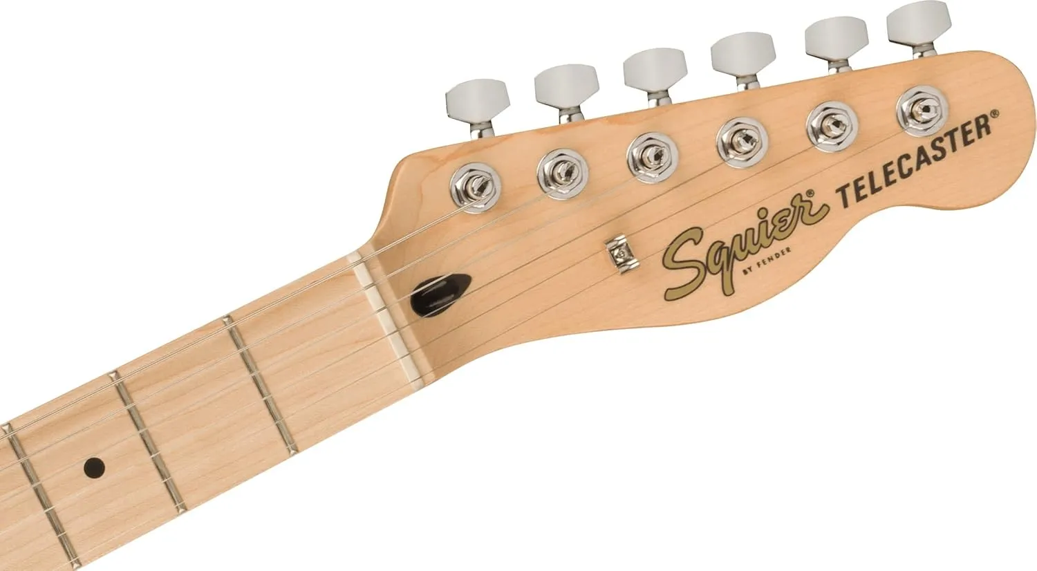 Fender Affinity Series Telecaster - Butterscotch Blonde Bundle with Frontman 10G Amplifier, Gig Bag, Tuner, Instrument Cable, Strap, Picks, and Austin Bazaar Instructional DVD