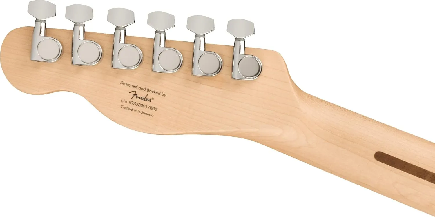 Fender Affinity Series Telecaster - Butterscotch Blonde Bundle with Frontman 10G Amplifier, Gig Bag, Tuner, Instrument Cable, Strap, Picks, and Austin Bazaar Instructional DVD