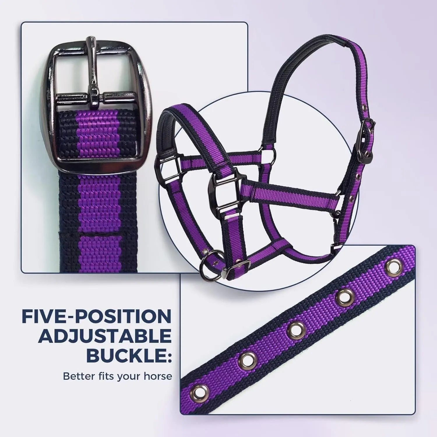 Hilltown Adjustable Horse Halter with PP Webbing, Durable Breakaway Halters for Horses with Zinc Alloy Hardware, Horse Training Equipment to Prevent Friction for Training, Competitions, Daily Use
