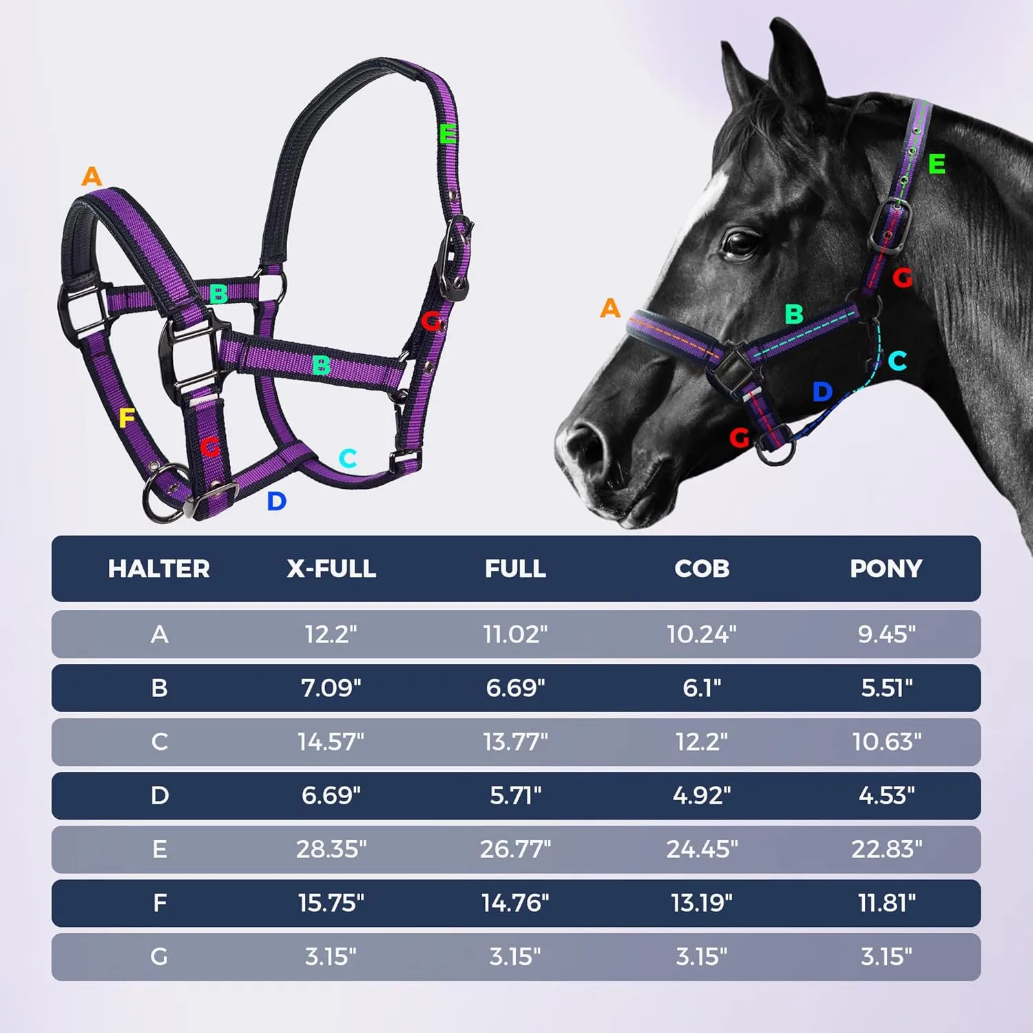 Hilltown Adjustable Horse Halter with PP Webbing, Durable Breakaway Halters for Horses with Zinc Alloy Hardware, Horse Training Equipment to Prevent Friction for Training, Competitions, Daily Use