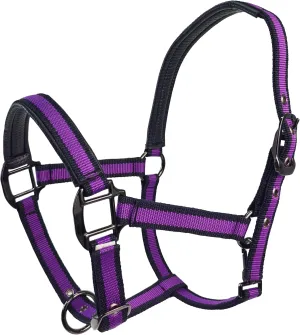Hilltown Adjustable Horse Halter with PP Webbing, Durable Breakaway Halters for Horses with Zinc Alloy Hardware, Horse Training Equipment to Prevent Friction for Training, Competitions, Daily Use