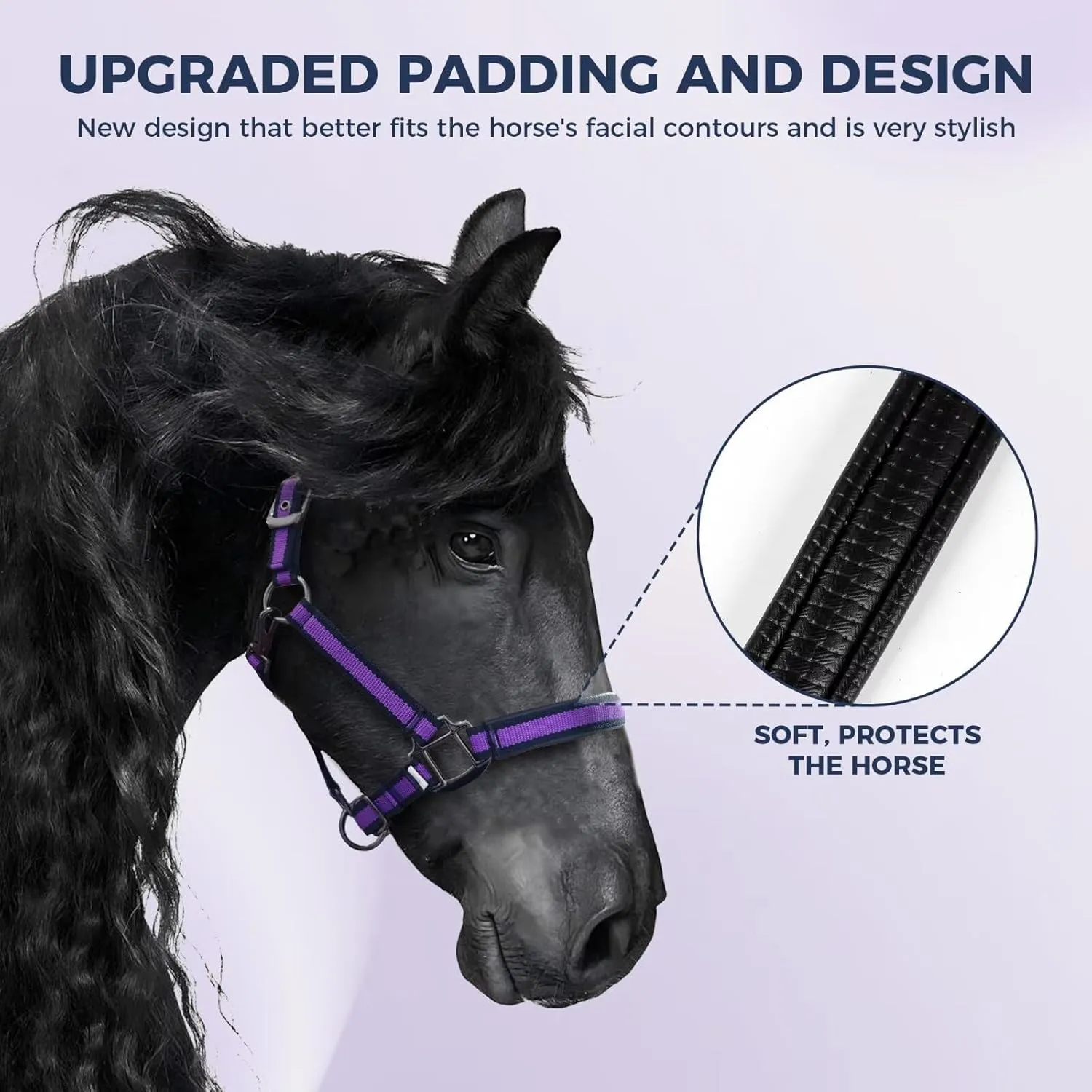 Hilltown Adjustable Horse Halter with PP Webbing, Durable Breakaway Halters for Horses with Zinc Alloy Hardware, Horse Training Equipment to Prevent Friction for Training, Competitions, Daily Use