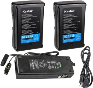 Kastar 2-Pack Battery and Dual D-Tap Charger Compatible with DSR-370L DSR-370P DSR-370PK1 DSR-370PK2 DSR-390 DSR-390K1 DSR-390K2 DSR-390L DSR-390P DSR-400 DSR-400K DSR-400L DSR-400P Camera