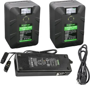 Kastar 2-Pack Battery and Dual D-Tap Charger Replacement for DSR-390 DSR-390K1 DSR-390K2 DSR-390L DSR-390P DSR-400 DSR-400K DSR-400L DSR-400P DSR-400PK DSR-400PL DSR-450WS DSR-450WSL Camera
