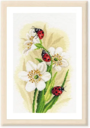 Lanarte Counted Cross Stitch Kit Ladybug Parade, Multicolor
