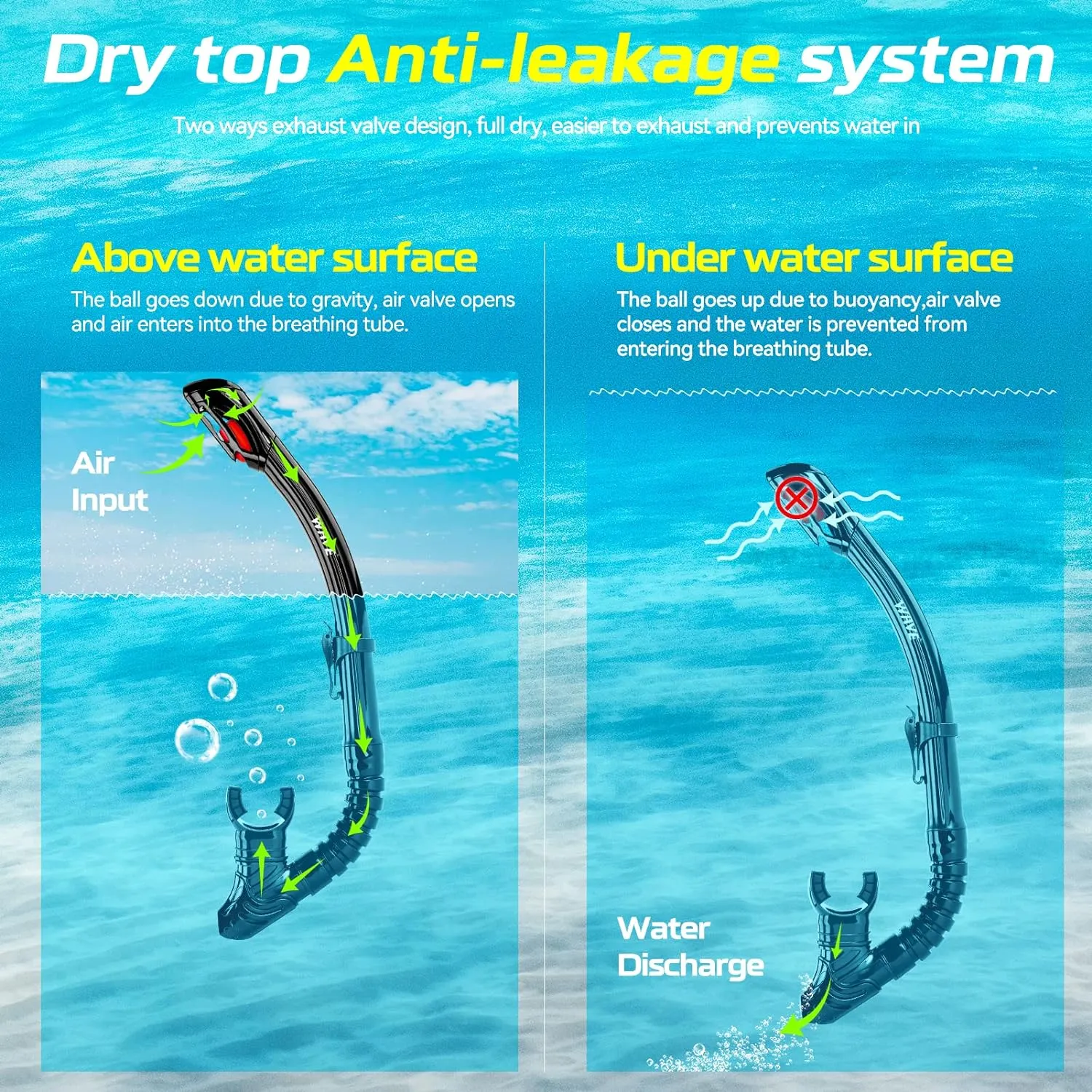 Nearsighted Snorkel Gear, Nearsighted Dry Snorkel Mask Set for Adult Youth, Nearsighted Anti Fog Diving Mask with Detachable Camera Mount & Adjustable Strap for Scuba Diving, Snorkeling, Freediving