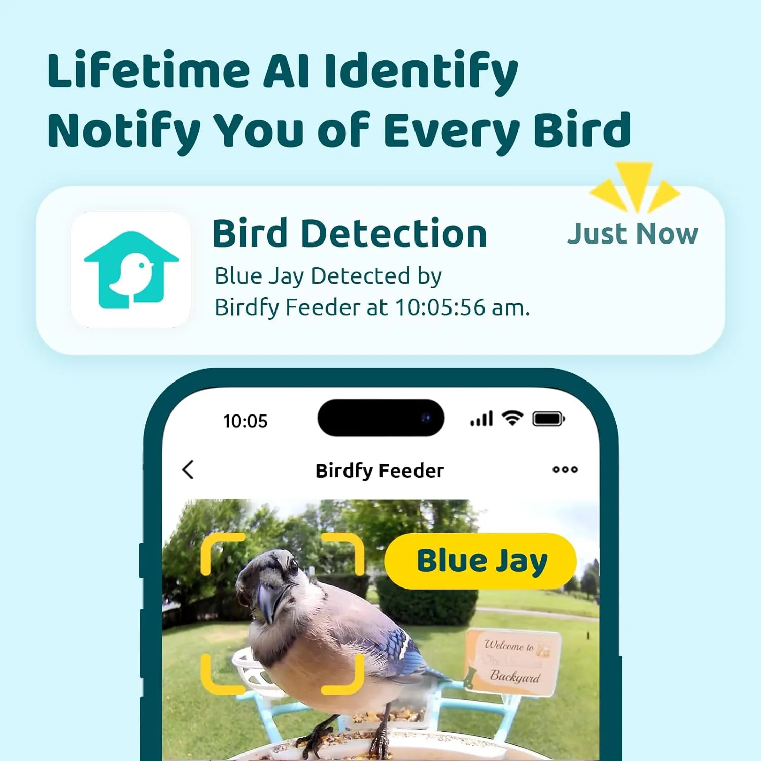 NETVUE Birdfy AI Smart Bird Feeder Camera Solar Powered, AI Auto Capture Bird Videos & Identify 6000  Bird Species, Cloud Storage & Birdwatching On Live, Ideal Present (Sky Blue)