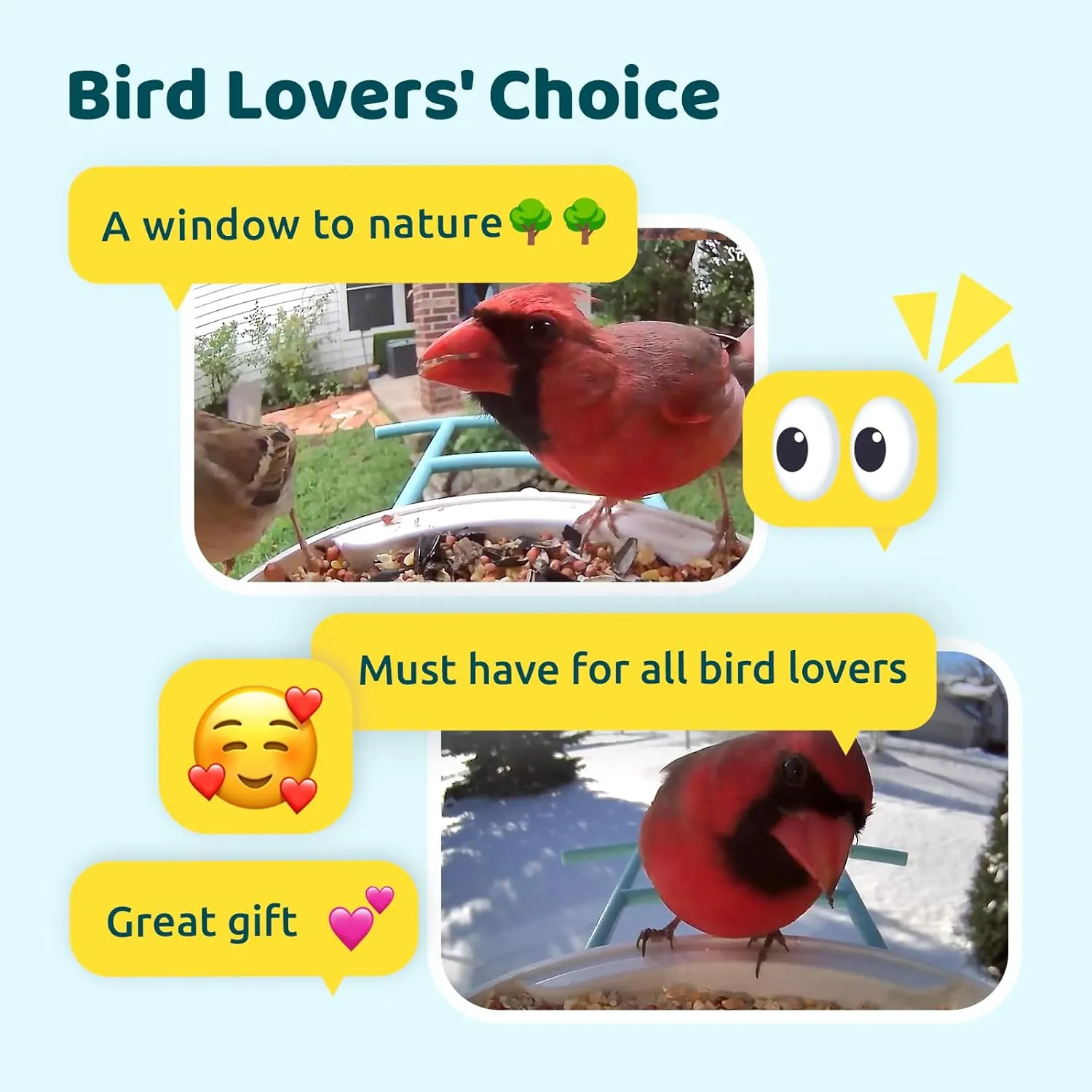 NETVUE Birdfy AI Smart Bird Feeder Camera Solar Powered, AI Auto Capture Bird Videos & Identify 6000  Bird Species, Cloud Storage & Birdwatching On Live, Ideal Present (Sky Blue)