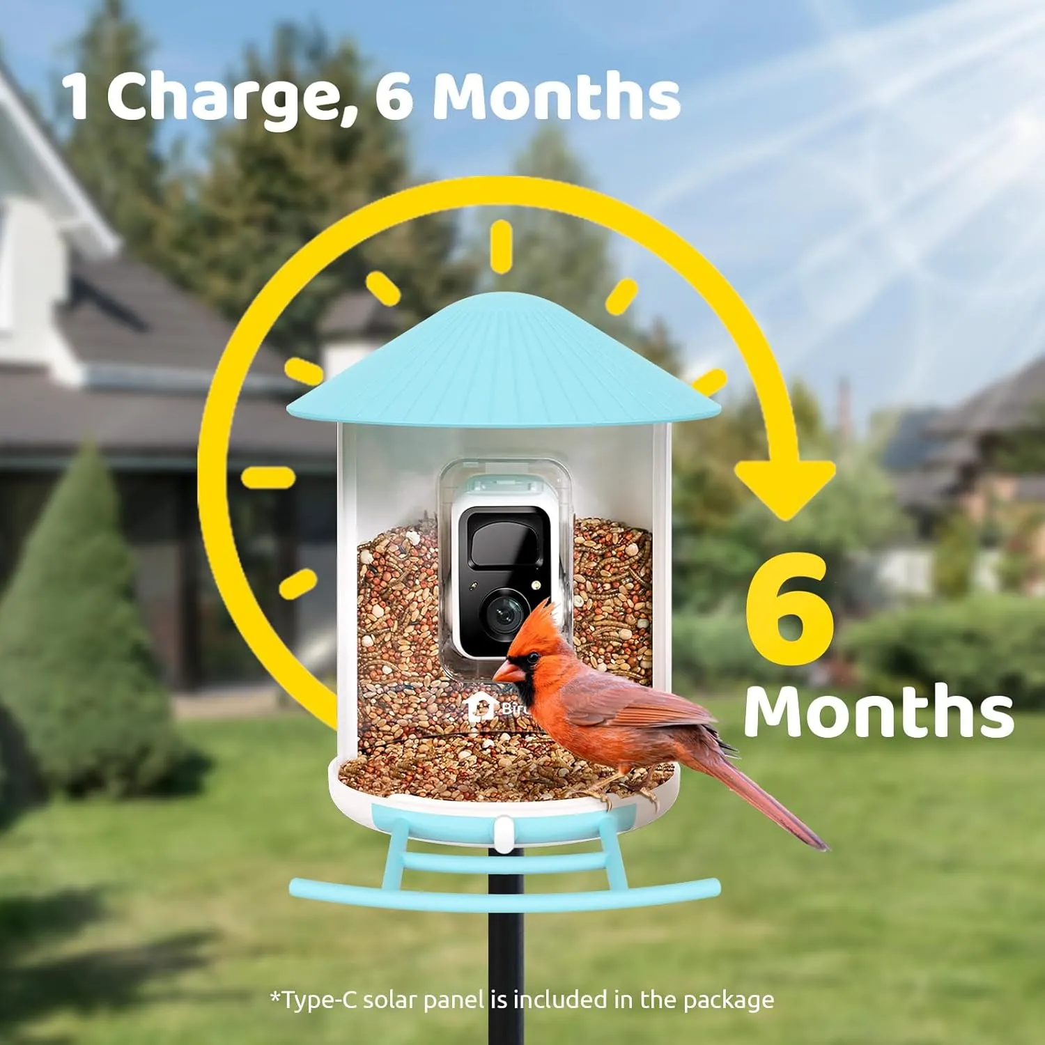 NETVUE Birdfy AI Smart Bird Feeder Camera Solar Powered, AI Auto Capture Bird Videos & Identify 6000  Bird Species, Cloud Storage & Birdwatching On Live, Ideal Present (Sky Blue)