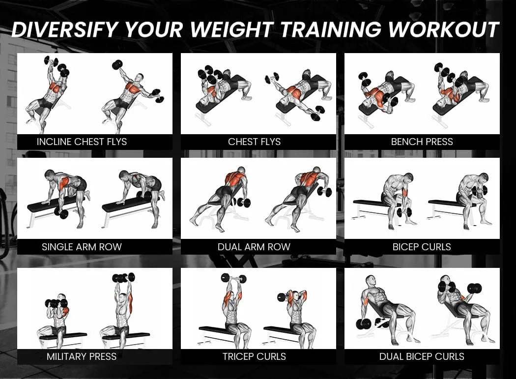 PROFLEX Weight Bench [ONLINE ONLY]