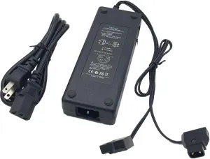 REYTRIC Dual D-Tap (P Tap) Travel Charger Compatible Sony V-Mount/V Lock and Anton Bauer Gold Mount Batteries with 2-Prong Power Cord