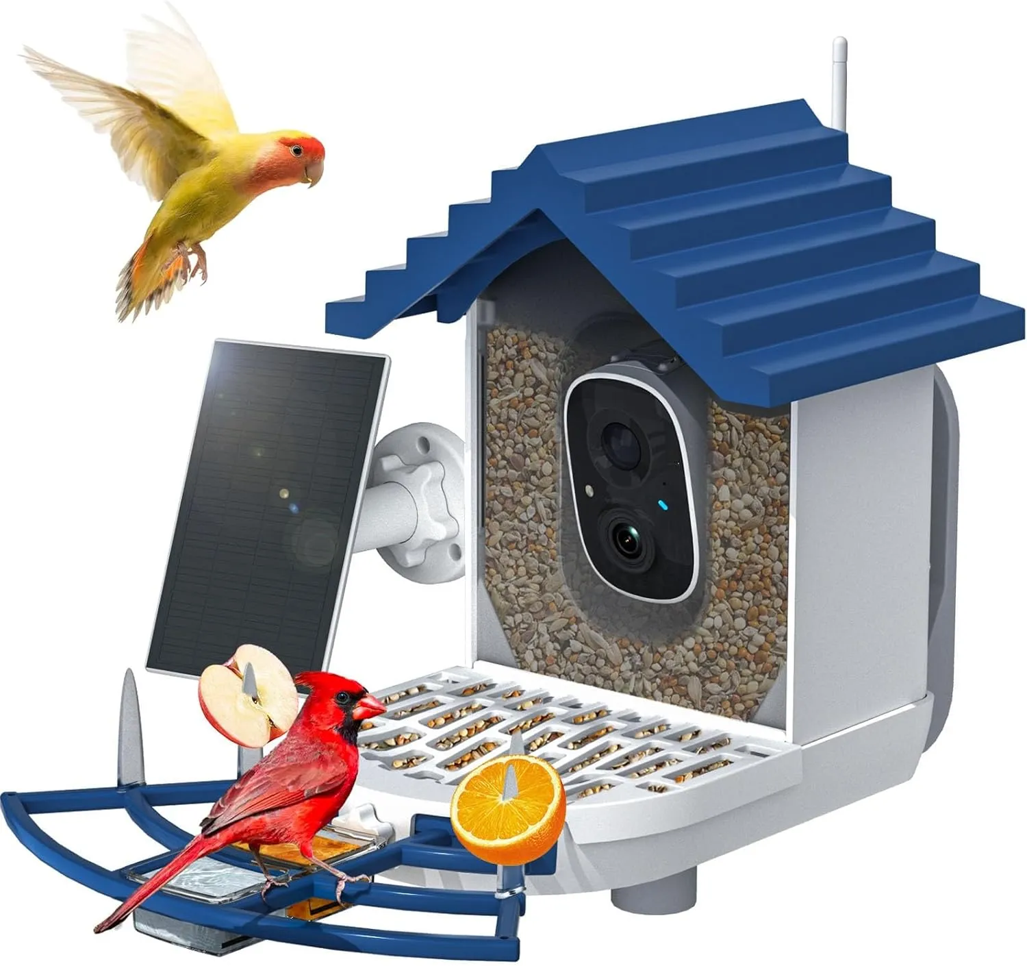 Smart Bird Feeder with Camera Solar Powered & AI Bi rd Identification, 2.4Ghz WiFi Bird feeders for Outdoors, Full HD Live Video, Nstant Arrival Alerts - Best Gifts for Bi rd Lovers