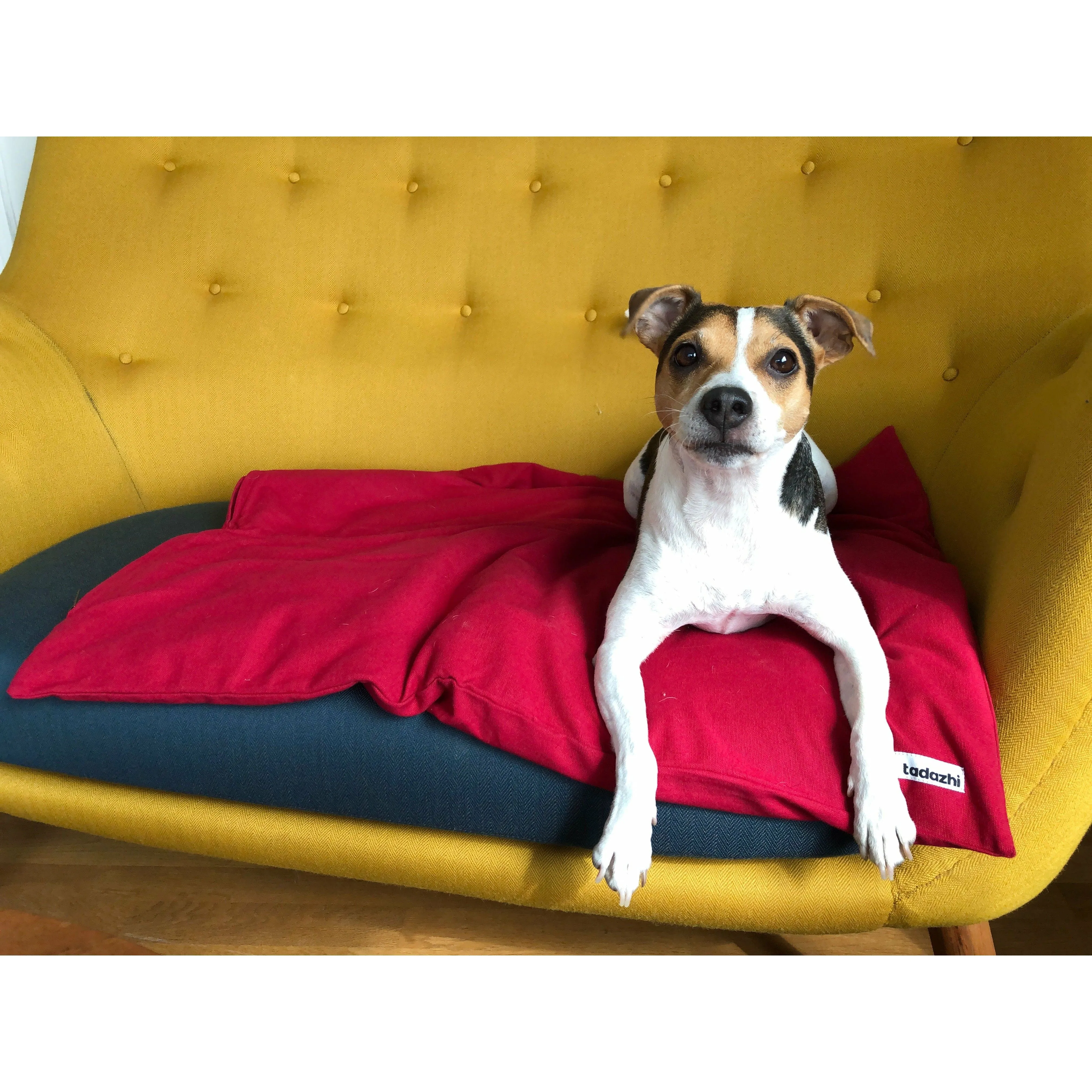 Tadazhi Dog Duvet and Matching Bag