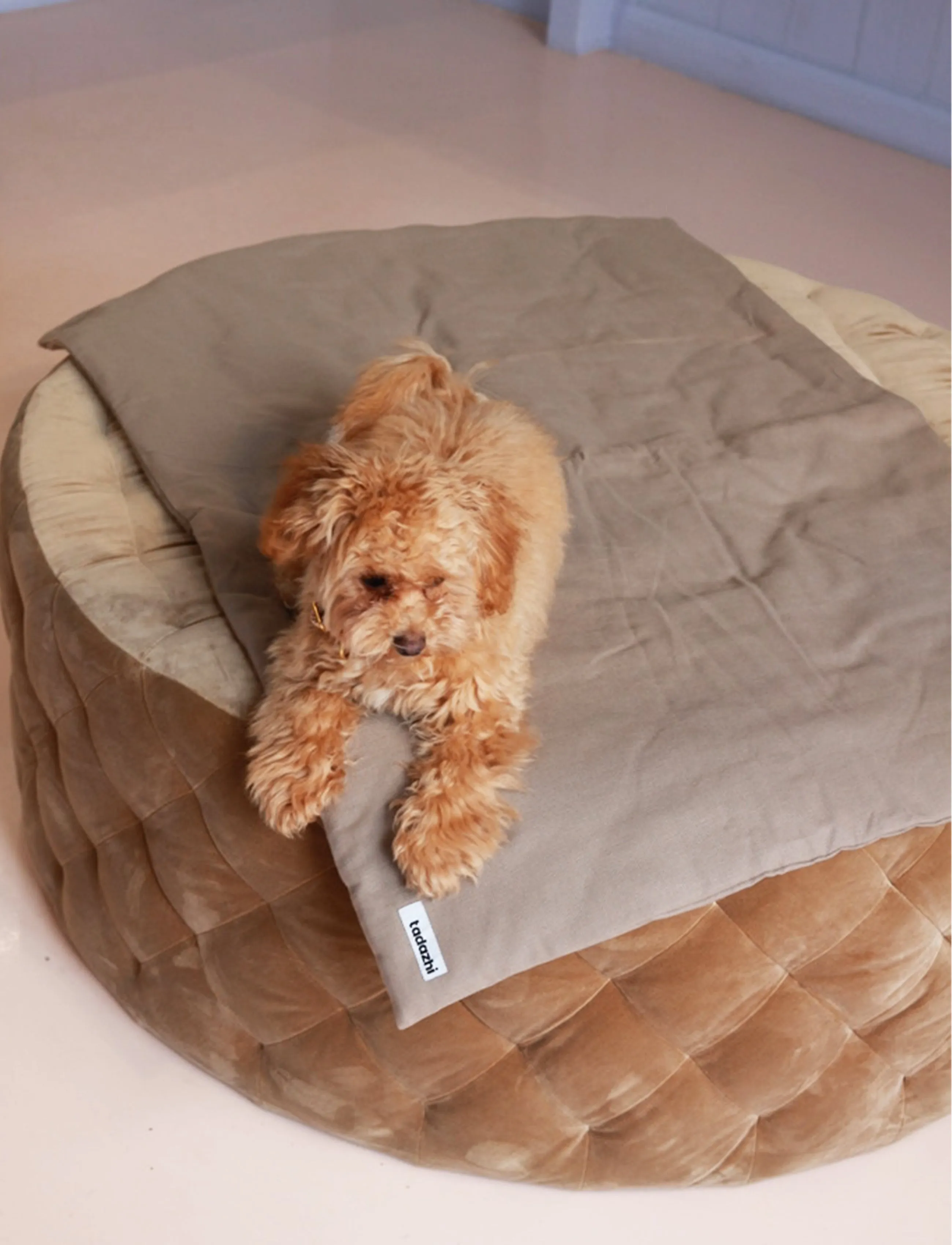 Tadazhi Dog Duvet and Matching Bag