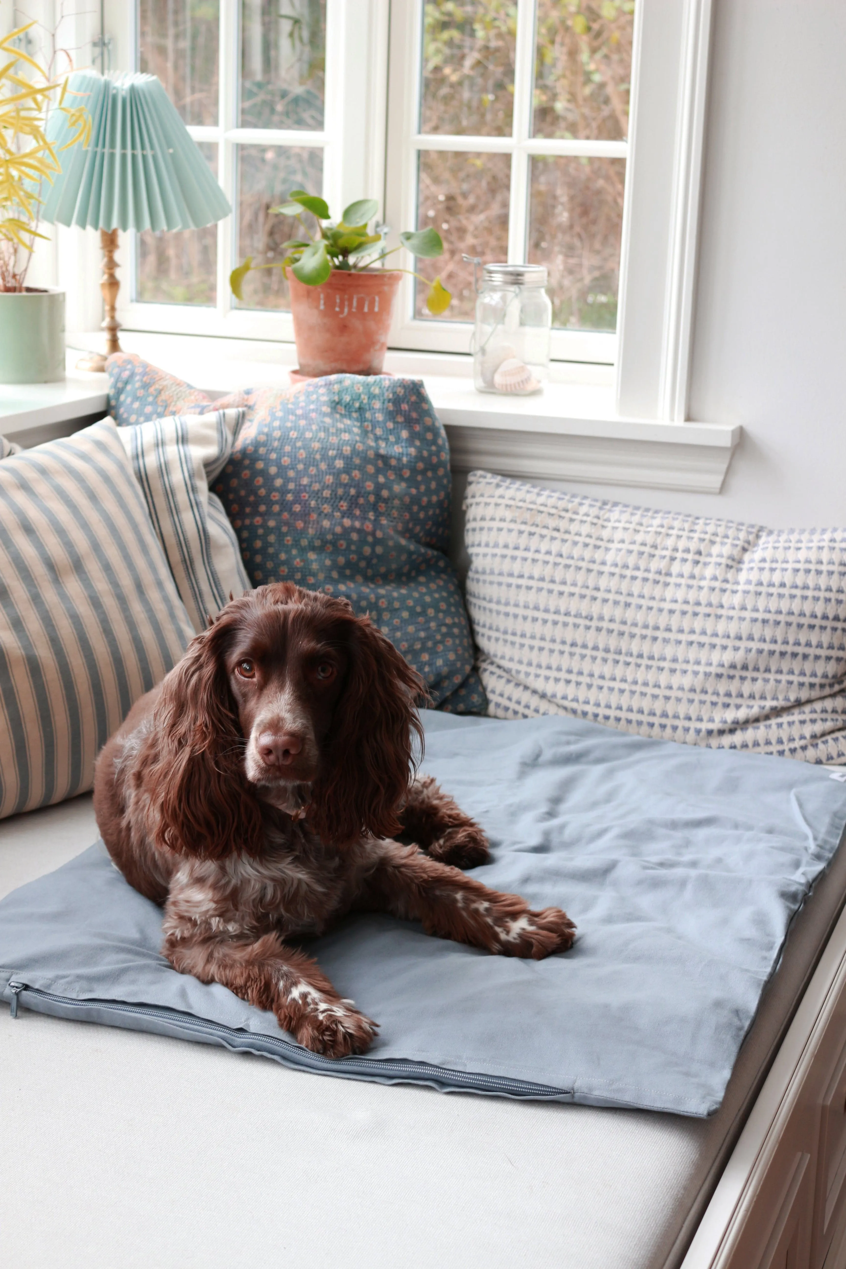 Tadazhi Dog Duvet and Matching Bag