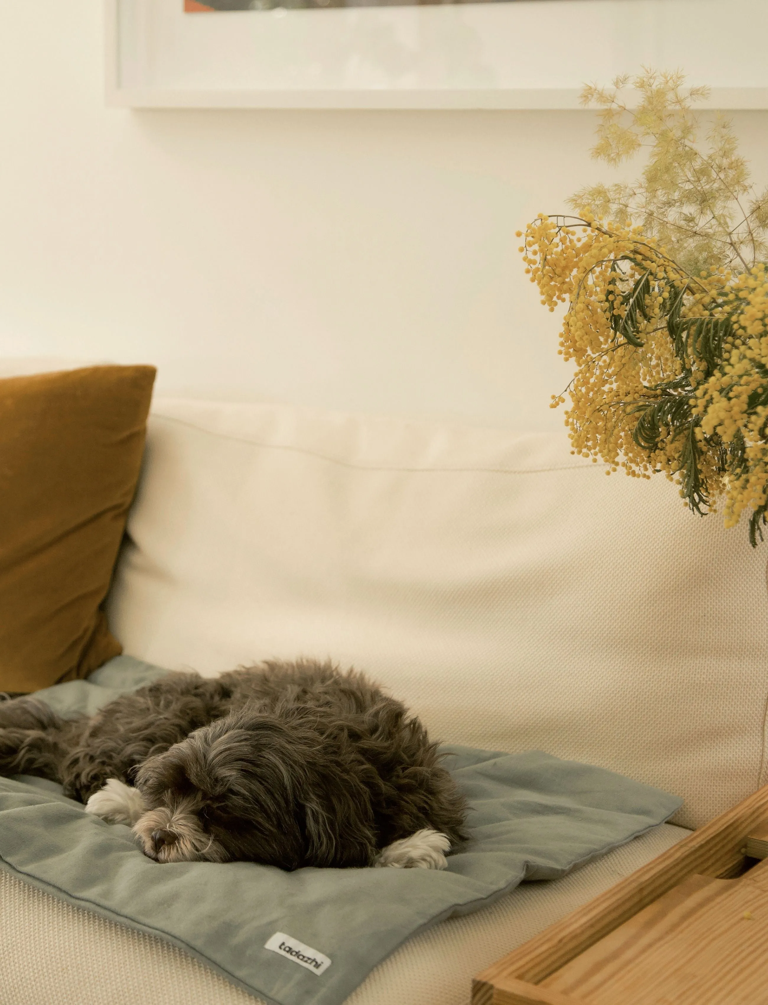 Tadazhi Dog Duvet and Matching Bag