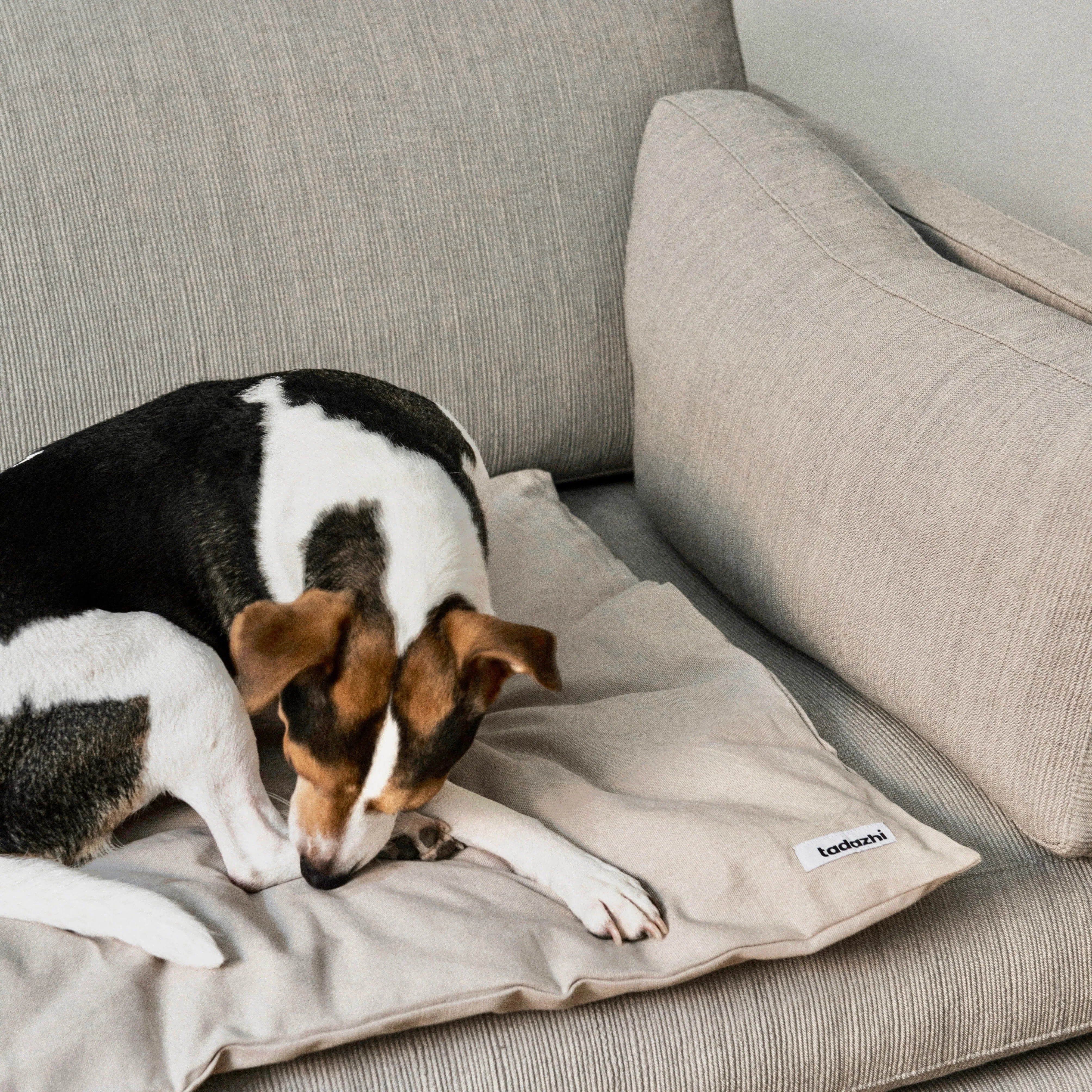 Tadazhi Dog Duvet and Matching Bag