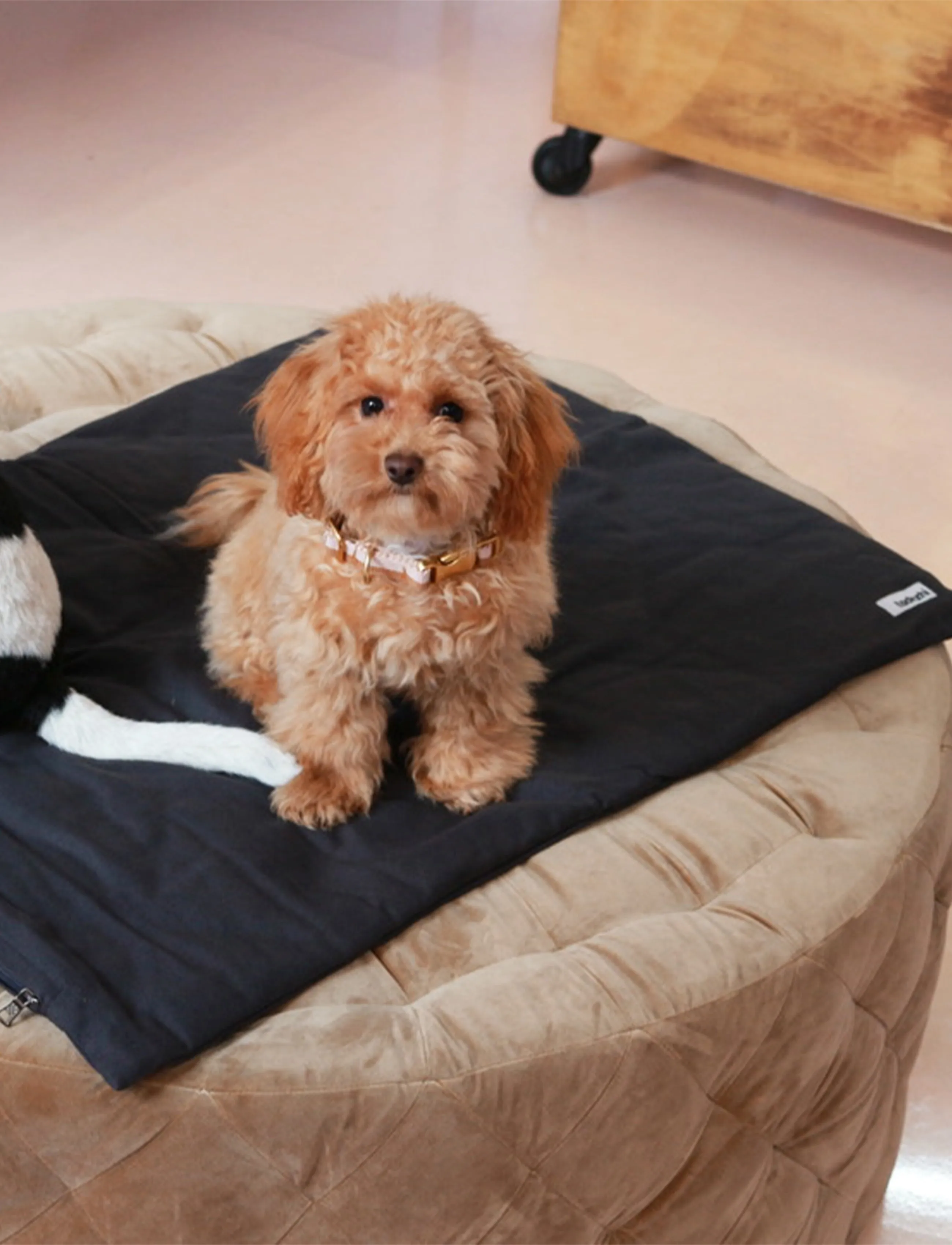 Tadazhi Dog Duvet and Matching Bag