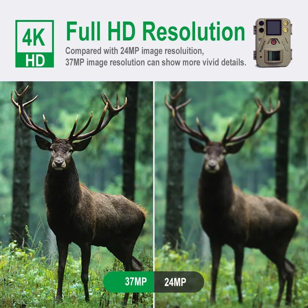 Trail Camera - 4K 37MP Hunting Camera with Night Vision,Game Camera with Dual Flash - Take Color Pictures and Videos at Night,IP67 Waterproof,Outdoor Wildlife Monitoring(SG520-D/SD)