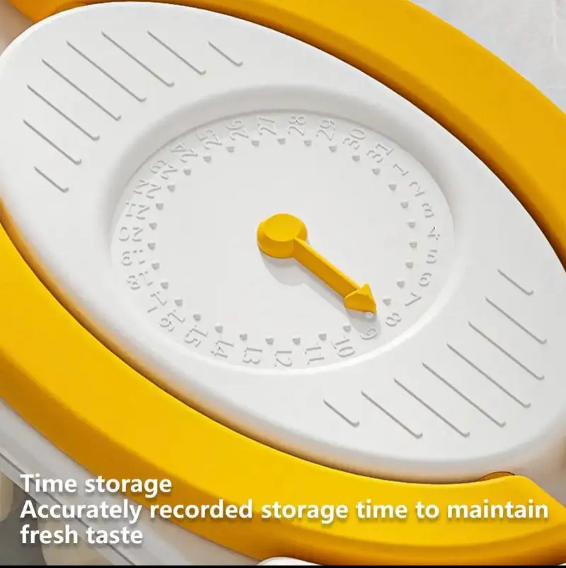 Two Layer Dumpling Storage Box