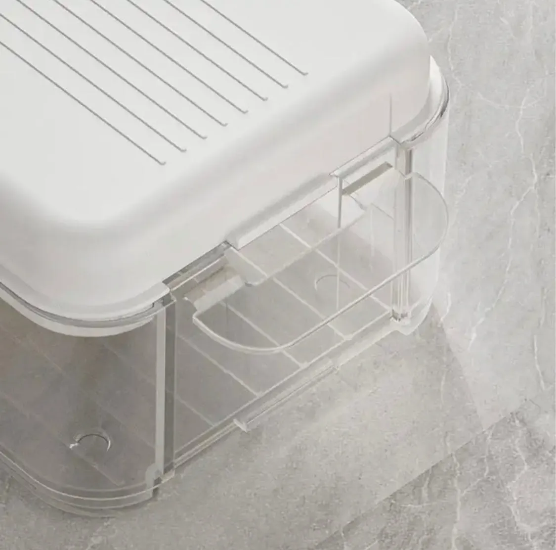 Two Layer Dumpling Storage Box