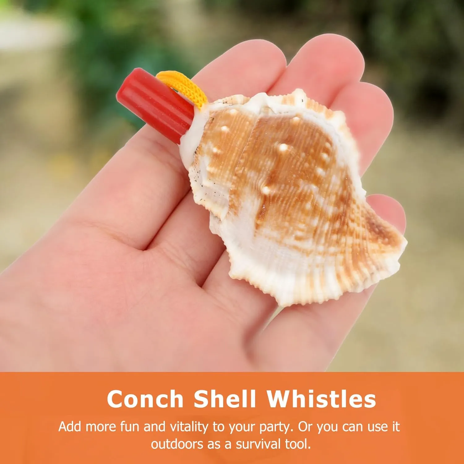 Whistle Necklace, 20 Pcs Small Conch Whistle with Lanyard, Nautical Conch Necklace Creative Funny Musical Whistle Toys Travel Sea Shell Conch Whistle